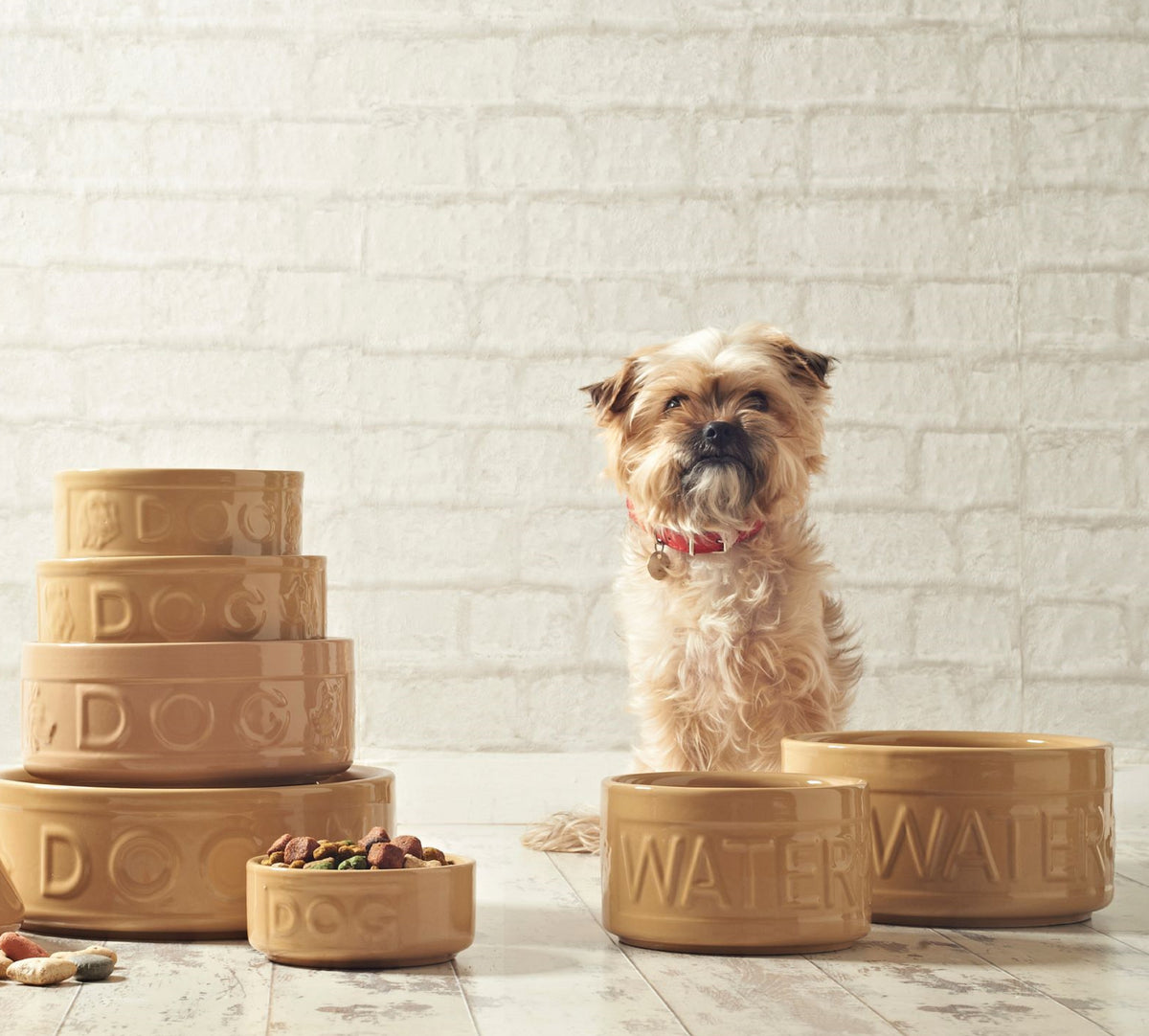Mason and cash dog bowl sales