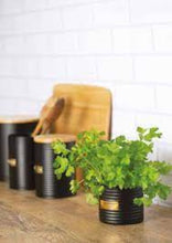 Load image into Gallery viewer, Typhoon Otto Black Herb Pot

