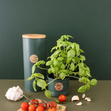 Load image into Gallery viewer, Typhoon Living Green Herb Planter
